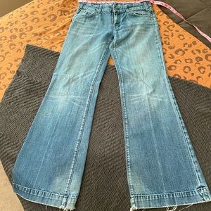 Citizens of humanity size 29